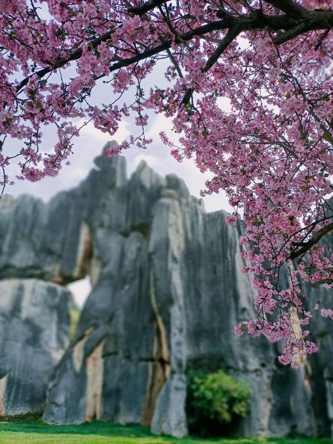 Stone Forest Mijia Guest House Shilin Buitenkant foto
